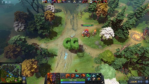 Dota 2 Support Role