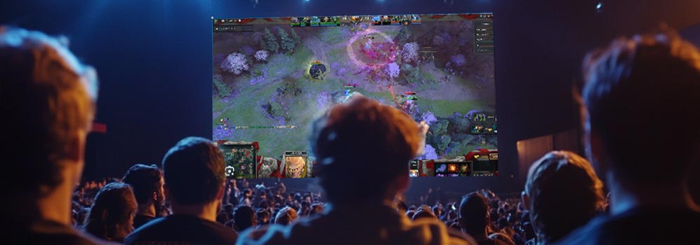 Exploring Fan Engagement in Dota 2 eSports: The Heartbeat of the Community